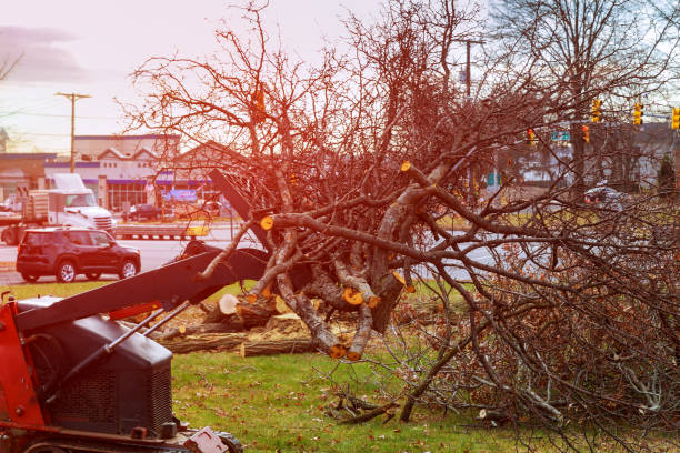 Spencer, NC Tree Care Company
